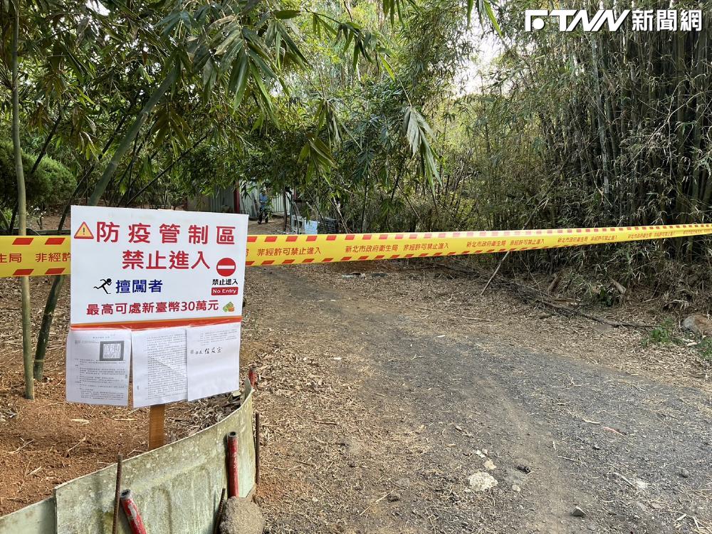 快訊／新北突增5登革熱確診　遍布4行政區、這2地方被列「高風險區」
